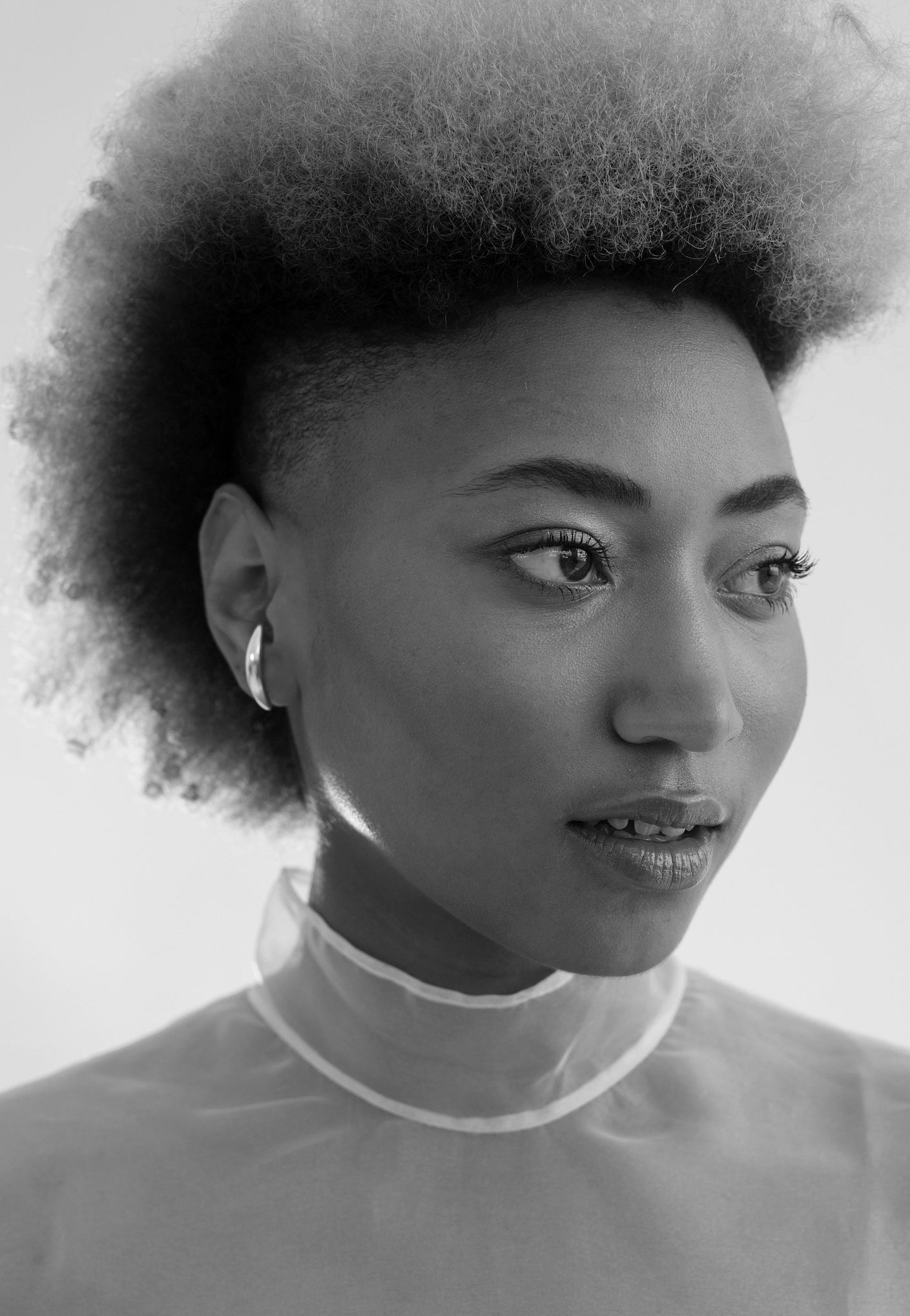 CARAVANAS CANINE CURVE