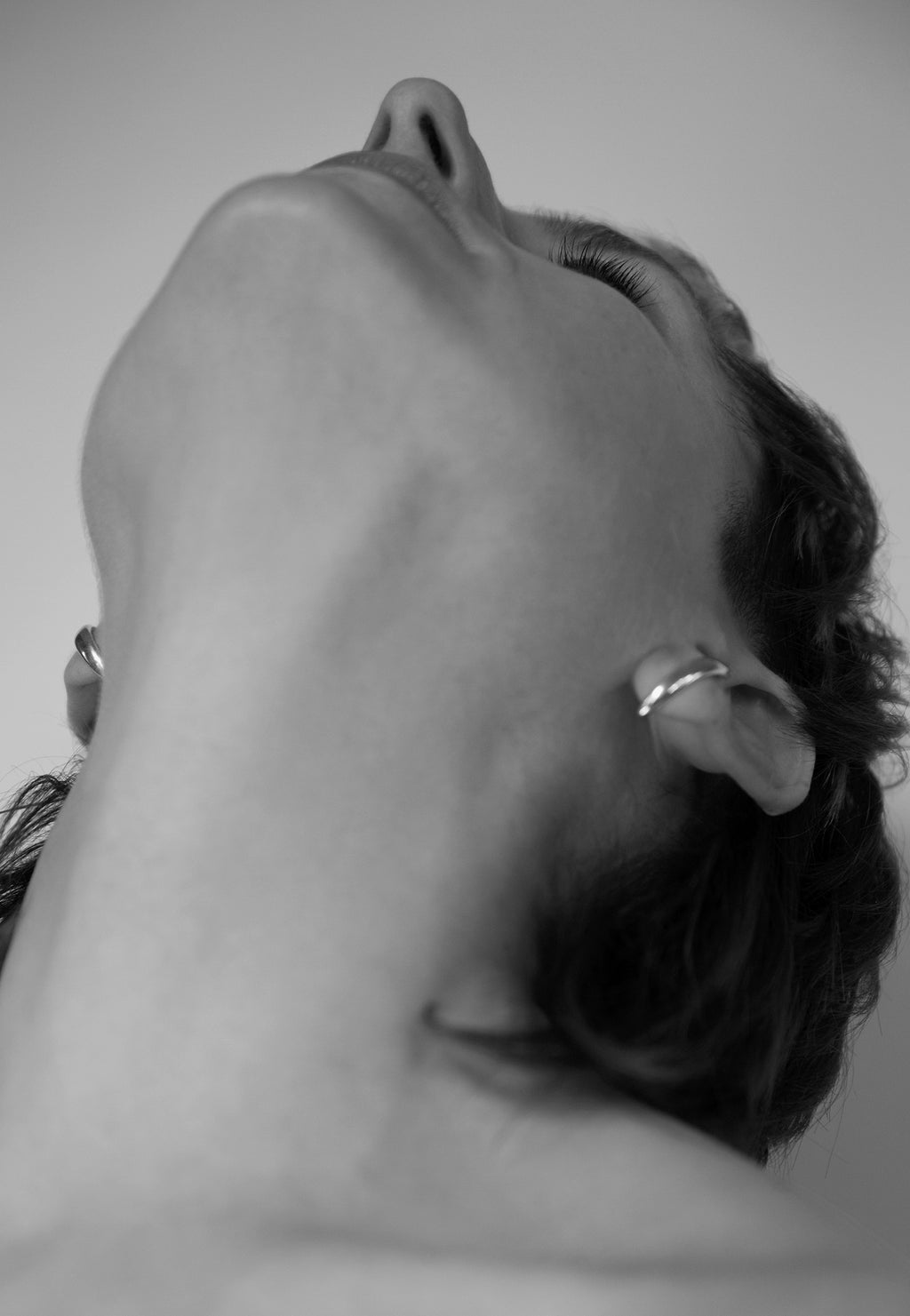 CARAVANAS CANINE CURVE