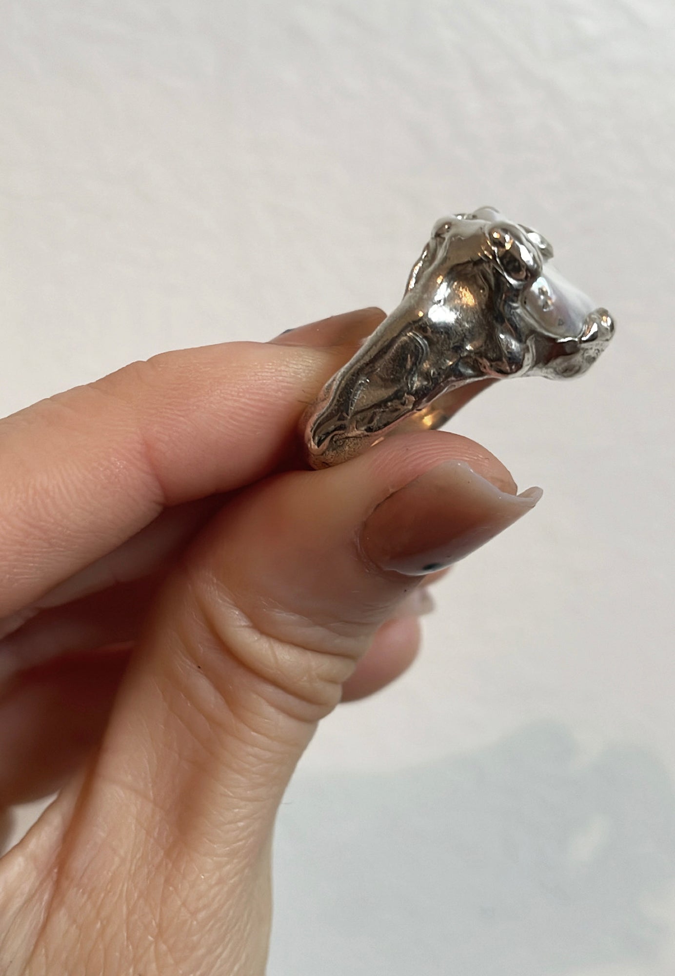 ANILLO EROSIÓN